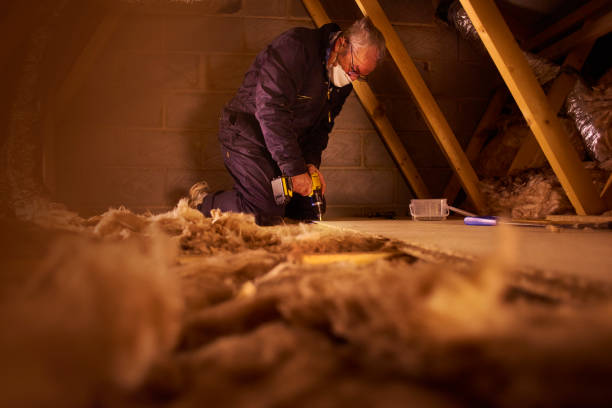 Best Cellulose Insulation in Anthony, KS